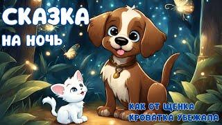 СКАЗКА НА НОЧЬ Как от щенка кроватка убежала