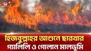 হিজবুল্লাহর  হামলায়  পুড়েছে   ইসরাইলের  ১৭ হাজার একর জমিNews  Ekattor TV