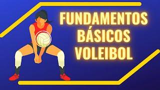 Fundamentos Básicos do Voleibol