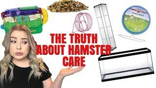 THE TRUTH ABOUT HAMSTER CARE + HAMSTER MISCONCEPTIONS