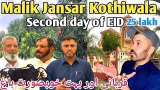 Malik Jansar Kothiwala Second day of EID  sacrifice beautiful garden  25 lakh ka bail Dadyal