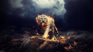 Raging White Tiger Live Wallpaper