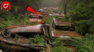 TERJEBAK MACET 70 TAHUN Ratusan Mobil Ditinggalkan Pemiliknya Ditengah Kota Yang Berubah Jadi Hutan