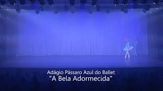 Pas Deux Blue Bird-   Sleeping Beauty Claryssa Barbosa e Vinícius Ferreira