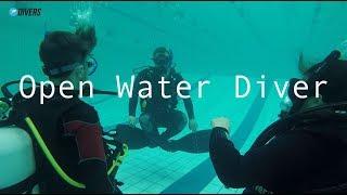 Курс Open Water Diver PADI дайвинг клуб  Divers