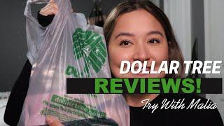 Is Dollar Tree Makeup WORTH IT?   Ep. 3