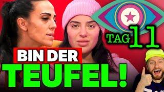 ABARTIG & BÖSE Elena Miras will RACHE Leyla SCHLÄGT ZURÜCK Promi Big Brother 2024 Tag 11