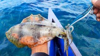 Wajib Di Coba Warna Umpan Cumi Ini... Mancing Cumi Siang Hari Di Karang Dangkal