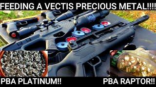 SUPERSONIC VECTIS?? GAMO RAPTOR PBA & PLATINUM PELLETS TESTED IN BEST LEVER ACTION PCP AIRGUN 2021