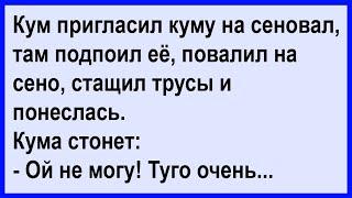 Кум пригласил куму на сеновал... Анекдот клуб