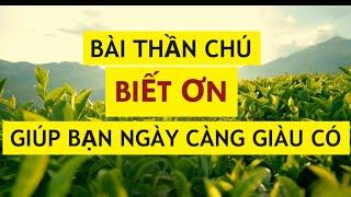 Bài Thần Chú Biết Ơn Giúp Bạn Ngày Càng Giàu Có và May Mắn