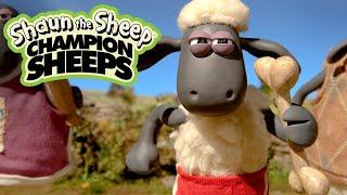 Relay  Championsheeps  Shaun the Sheep #Olympics #ShaunTheSheep