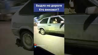 Быдло на дороге Кто нарушил? #shorts