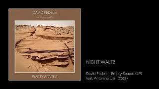 David Fedele - Night Waltz from EMPTY SPACES - feat. Antonina Car