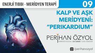 Enerji Tıbbı - Meridyen Terapi 09  Kalp ve Aşk Meridyeni Perikardium