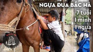 Chú bé Bắc Hà 7 tuổi phi ngựa nước đại