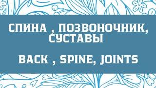 Спина позвоночник суставы Back spine joints. Исцеление болей в спине Reiki healing Meditation