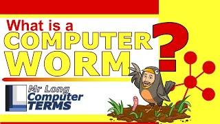 Mr Long Computer Terms  What is a Computer Worm?