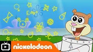 SpongeBob SquarePants  Sandys Studies  Nickelodeon UK