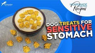 Recipe Dog Treats for Sensitive Stomach