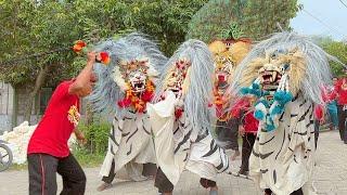 Seruu  Arak Arakan Barongan Blora Terbaru dan Reog Ponorogo Seni Barong Laskar Mudo Live Palon