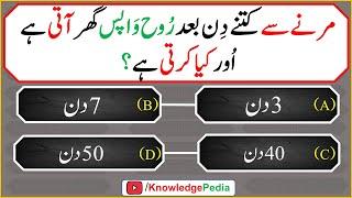 Best new Islamic Paheliyan  Top Viral Ismali Maloomati Sawal  Urdu best Islamic questions