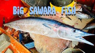 I Never Seen Big Sawara Fish Cutting Skills In Fish Market  Fish Cutting Expert