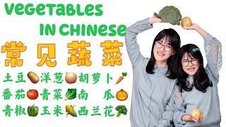 11 Vegetables in Chinese有趣的蔬菜 儿童中文课Mandarin learning for ChildrenChinese lesson for kids 幼儿学习中文