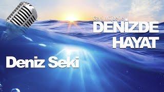 Denizde Hayat Deniz Seki