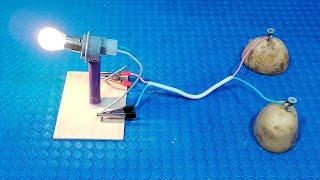 How to generate 12V electricity from potato  Simple Tips