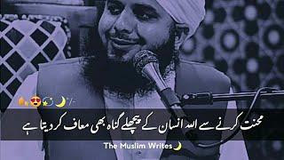 Mehnat Karne Se Allah Insan Ke️ Peer Ajmal Raza Qadri @themuslim_writes