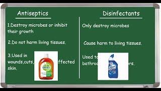 Antiseptic Vs Disinfectant differences English