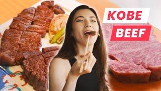 Kobe Beef The Most Expensive Steaks in the World