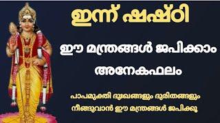 ഷഷ്ഠി ദിനത്തിൽ ജപിക്കേണ്ട സുബ്രഹ്മണ്യ മന്ത്രങ്ങൾ