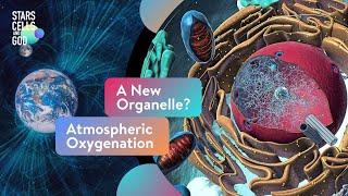 A New Organelle? Atmospheric Oxygenation  Fazale “Fuz” Rana and Hugh Ross