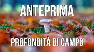 Anteprima profondità di campo