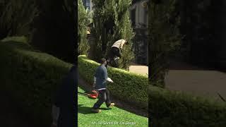 All The Gardeners Dialogue When He Catches Franklin Entering Michaels Yard - GTA 5