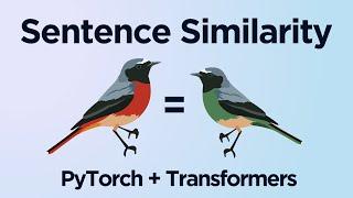 Sentence Similarity With Transformers and PyTorch Python