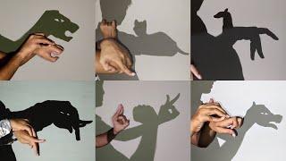 Hand Shadow Performance Part 2