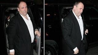 James Gandolfini Attacks Photographer Before His Dinner Date 2009