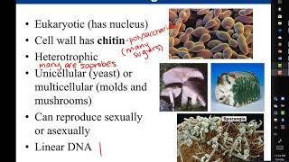 Chapter 1  Introduction to Microbiology