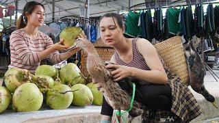 120 Days Build Green Life  Harvesting Coconuts and Ducks in the Garden Goes to Market Sell