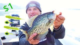 This $1 Double Jig Rig catches Fall Crappie how to tie