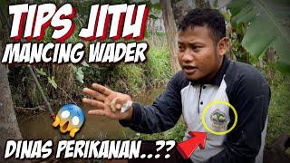 Cara Mancing Wader Kali - Tips Dasar Memasang Umpan Pancing Ikan Wader Terbukti Sangat Jitu