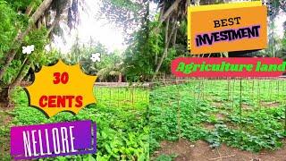 Agriculture Land Available for Sale in Nellore Best Investment lands 30 Cents Land Sale