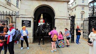 Horse Appears to Be Smiling at Tourist The Adorable Kings Guard & His Gorgeous Horse in London