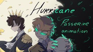 Hurricane II Passerine animation II