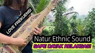 SAPE DAYAK ETHNIC INDONESIA RELAXATION Instrumental For Healing Peaceful Vibes #sapedayak #music