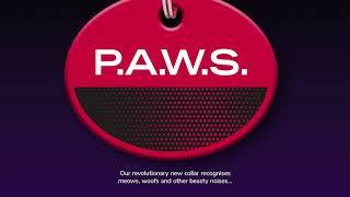 April Fools Pet Awareness Welfare System PAWS from Post Office Pet Insurance