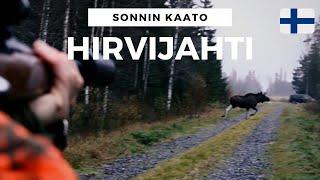 HIRVENMETSÄSTYS  MOOSE HUNTING 2023 SONNIN KAATO